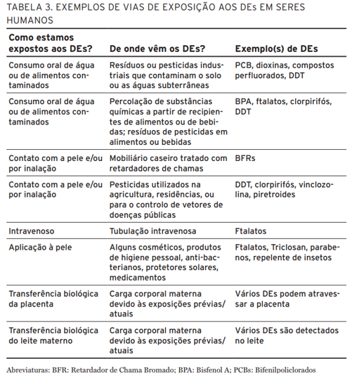 ONDE ESTÃO OS DISRUPTORES OU DESREGULADORES ENDÓCRINOS?